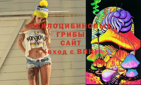 стаф Усолье-Сибирское