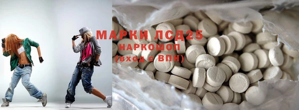 дживик Туринск