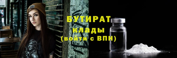 шишки Горняк