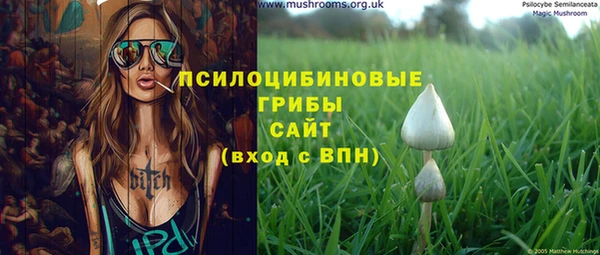 прущий лед Усинск